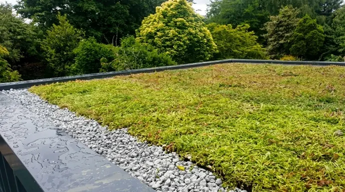 Planted roof edge with a border of grey foam glass aggregate